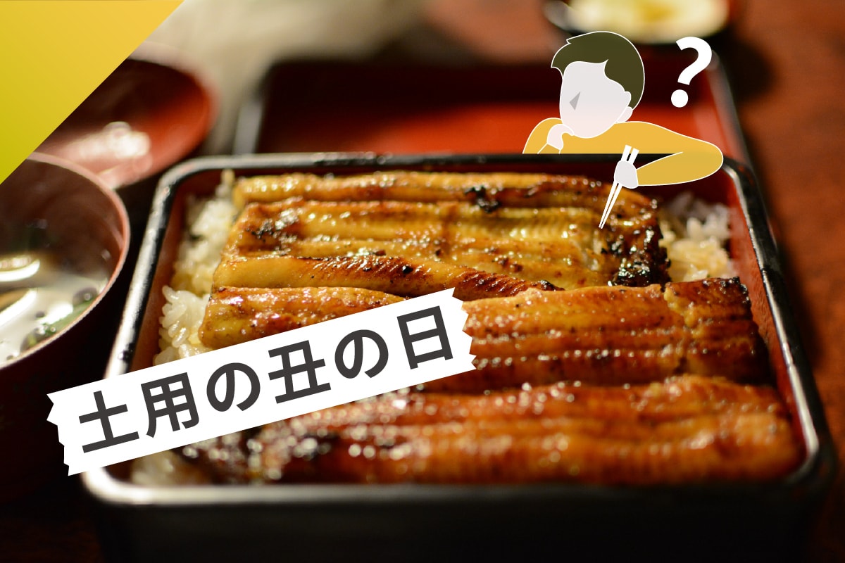土用丑日-鰻魚-夏天