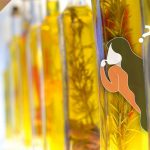 橄欖油-促進脂肪燃燒