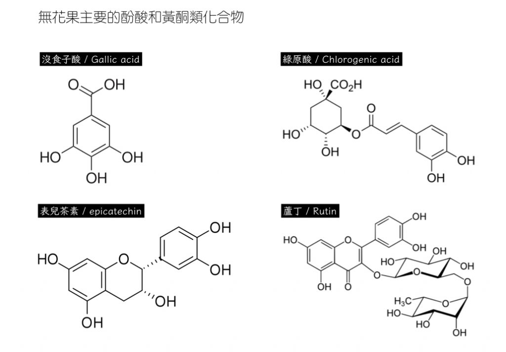 無花果-酚酸-黃酮類化合物-植物化