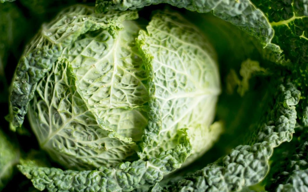 《蕈菇千層白菜》心情鬱悶嗎？試試這道料理吧！