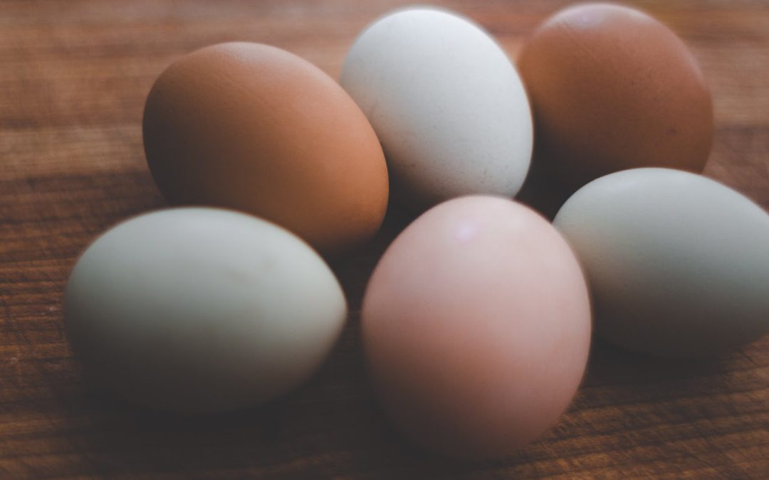 雞蛋殼和蛋黃的顏色會影響雞蛋的營養價值嗎？