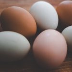 蛋殼-顏色-蛋黃-營養價值-wp