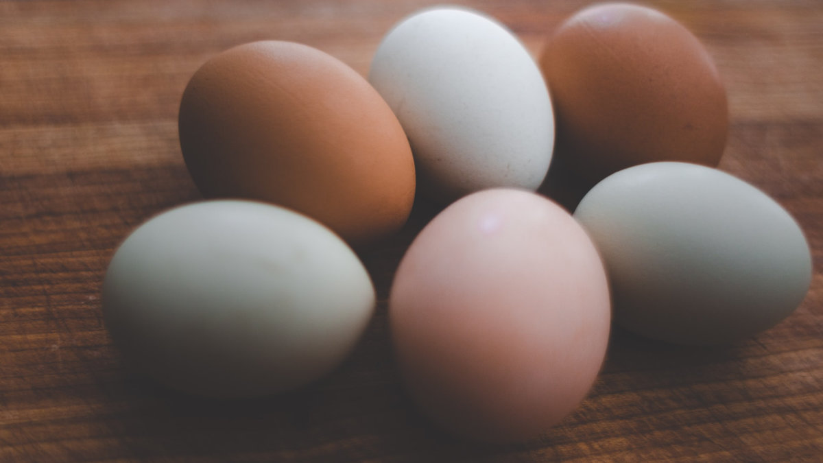 蛋殼-顏色-蛋黃-營養價值-wp