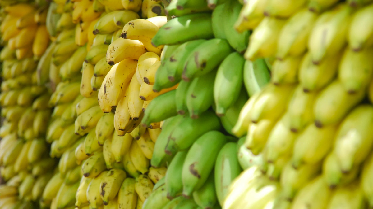 鉀-食物來源-香蕉