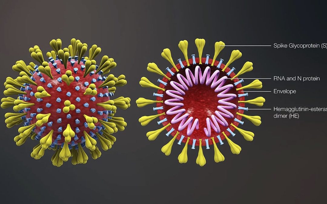 對抗武漢肺炎的 2 個基本守則：個人衛生 & 健康飲食生活！