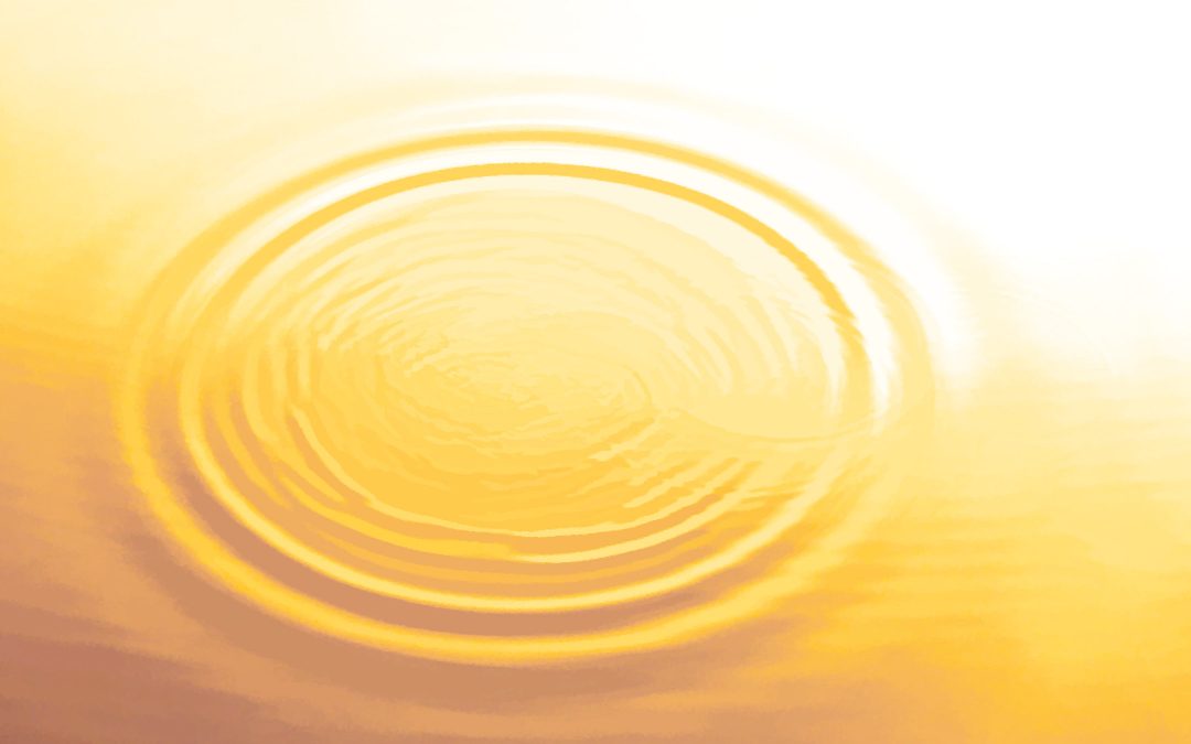 吃魚、喝魚湯、魚精，為你的免疫力加分！