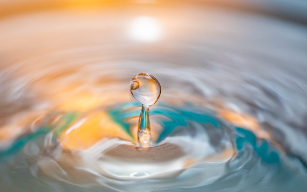 鱸魚精不只是胺基酸，還有 5 種胜肽機能性？