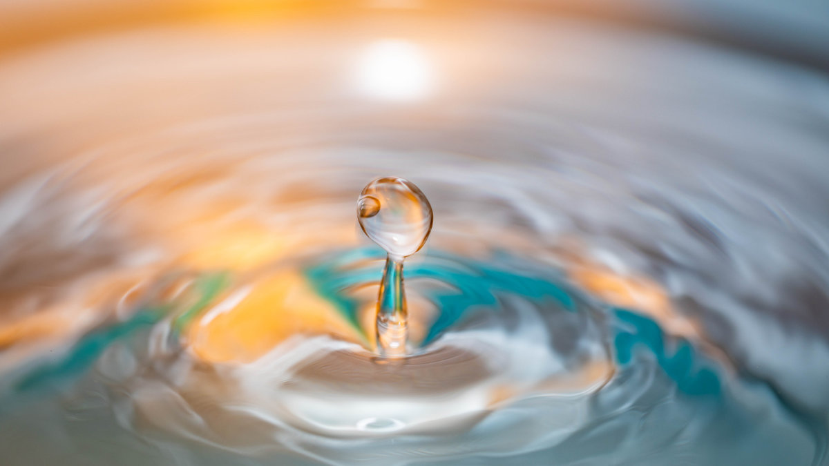 鱸魚精-滴精-雞精-胜肽