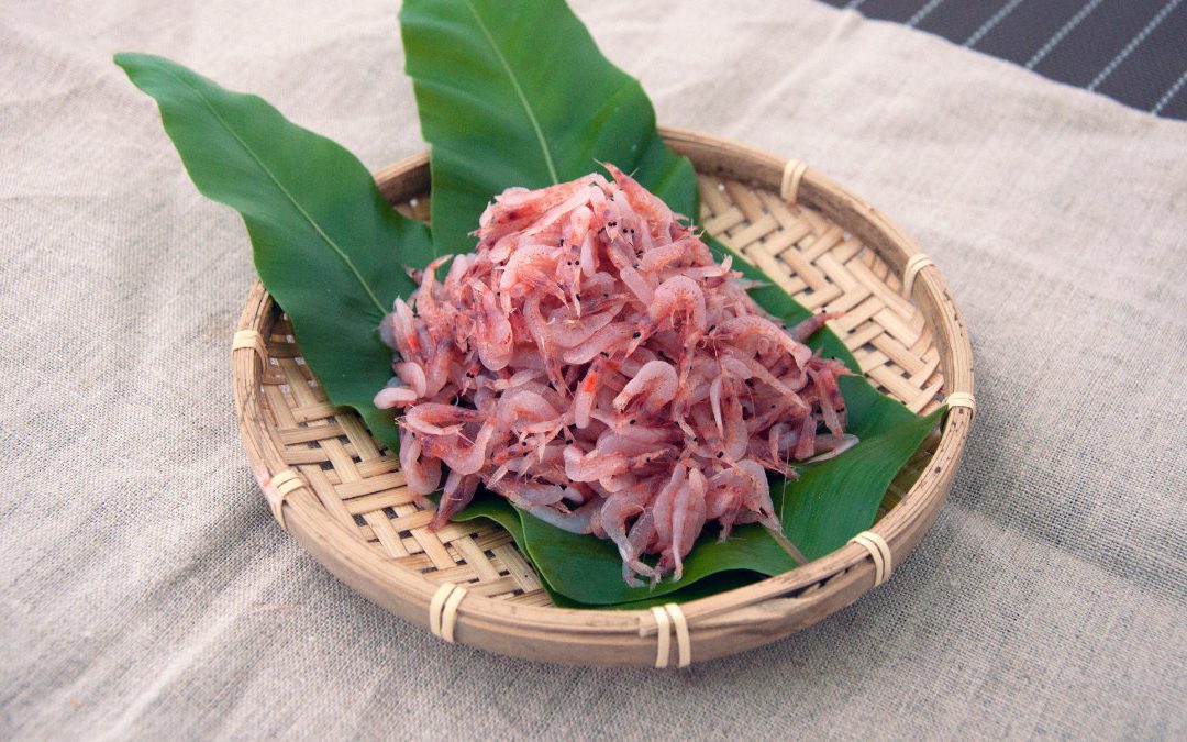 不喜歡喝牛奶？來就來吃櫻花蝦補鈣吧！