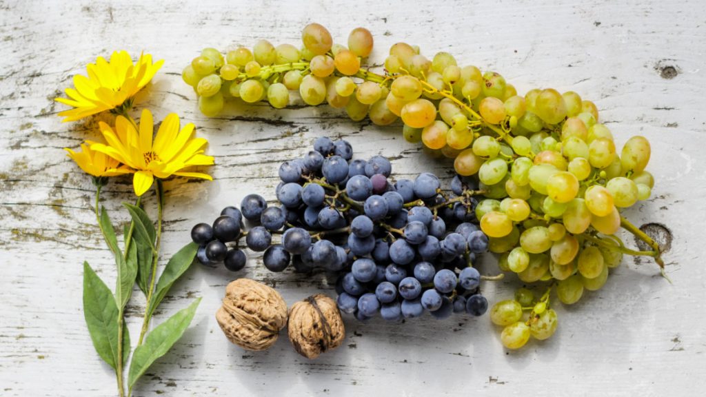 礦物質鉻-調節血糖