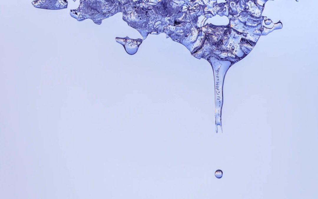 腸漏症   你的腸子有洞？來吃地中海飲食吧！