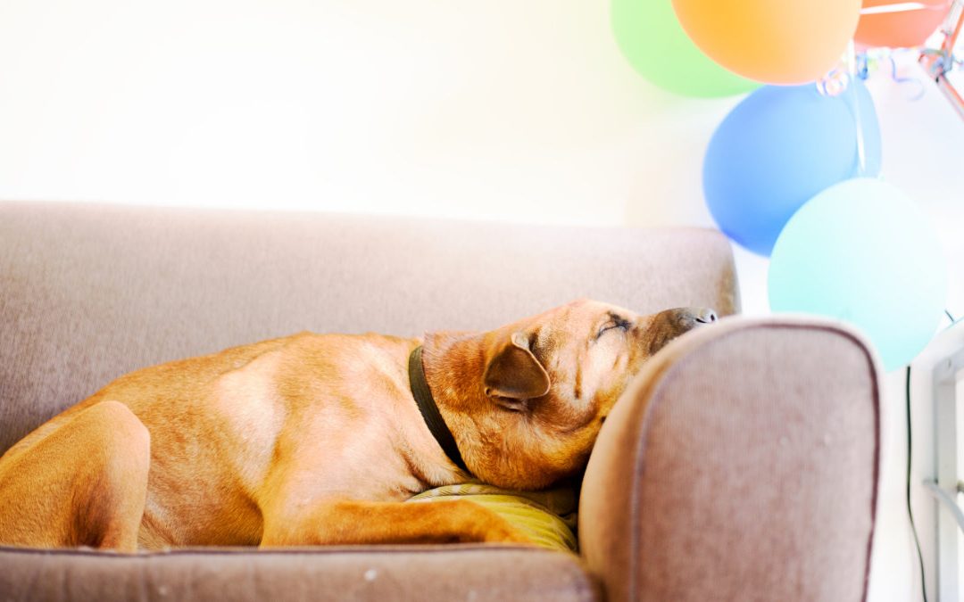 新冠肺炎改變生活　「坐」困家中有隱憂