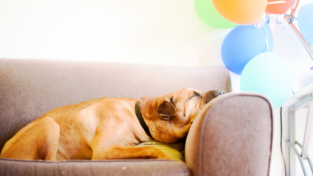 坐式生活-新冠肺炎-生活型態 坐式生活-新冠肺炎-生活型態