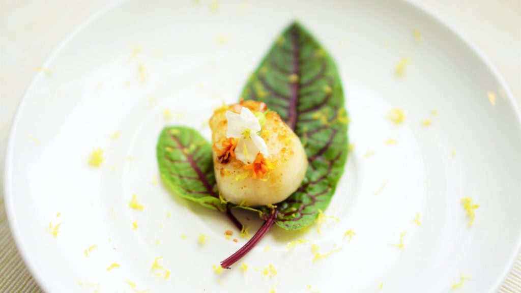 牛磺酸-干貝-帆立貝