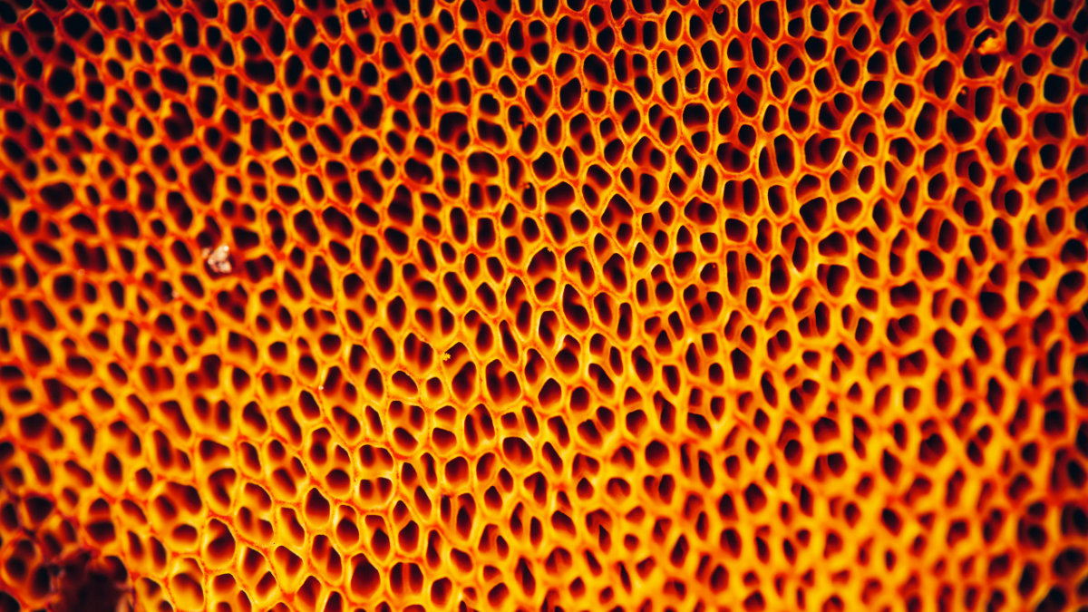 停經-骨質酥鬆症-存骨本-mian 停經-骨質酥鬆症-存骨本-mian