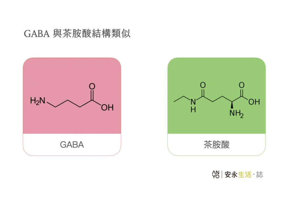 茶胺酸-GABA