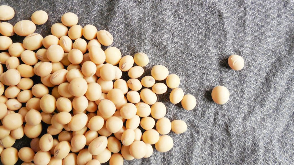 蒸大豆-營養組成