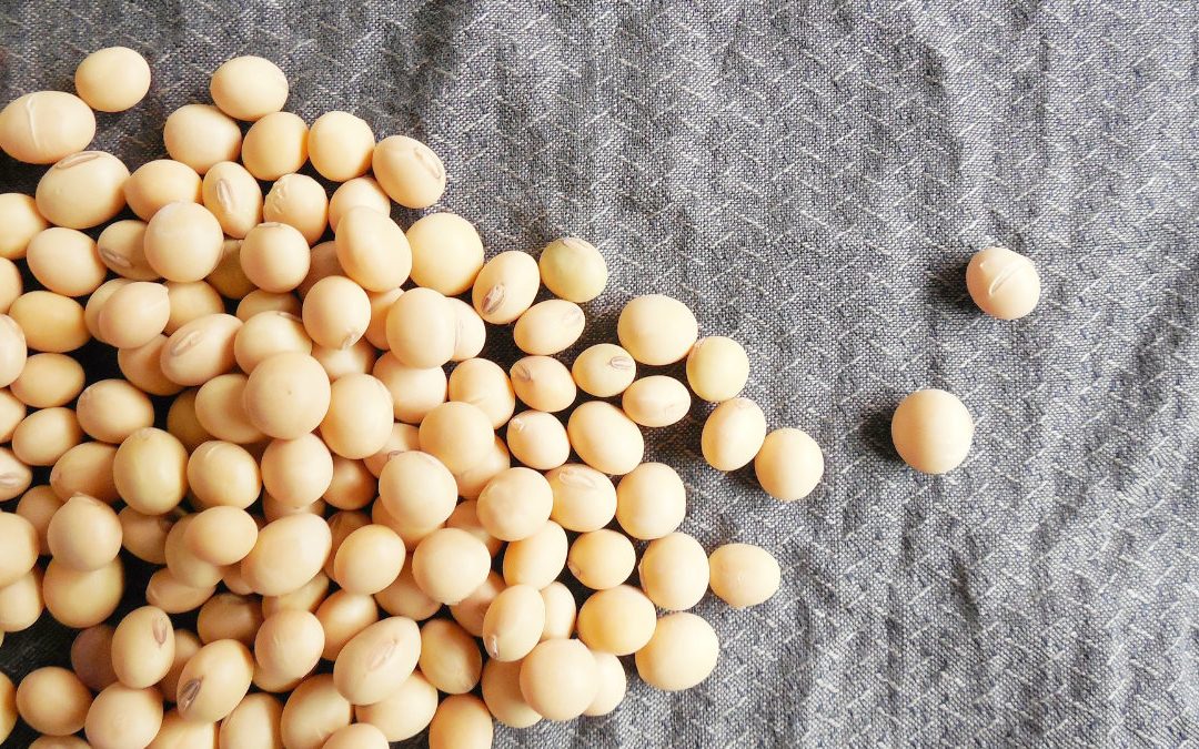 水煮、蒸大豆   2 種煮法，哪個更能保留營養？