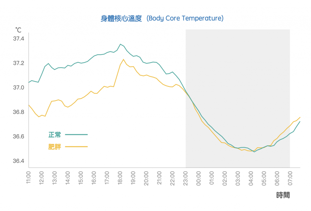 手腳冰冷-胖子與瘦子的核心體溫