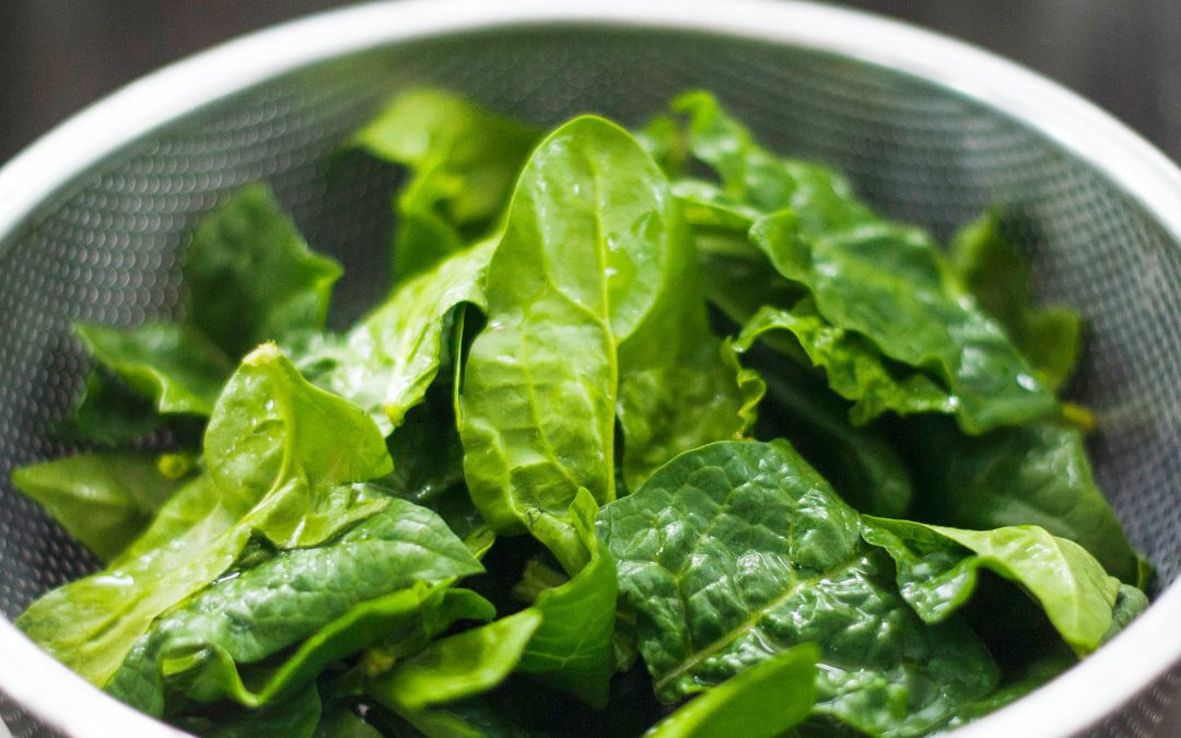 減肥吃水煮餐　營養師：不吃油真的很NG