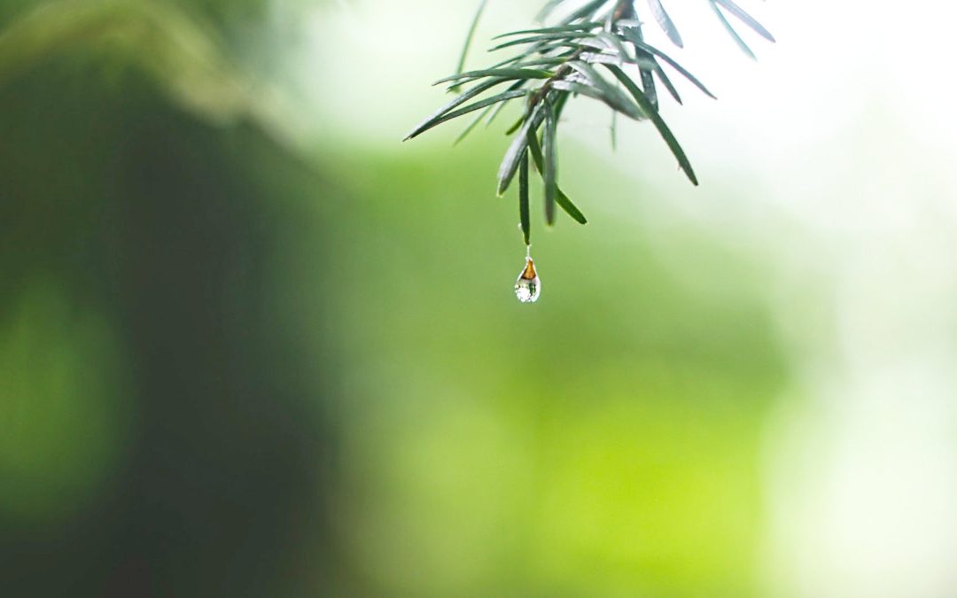 長期臥床、高齡長輩排尿不適　泌尿道感染落實清潔很重要