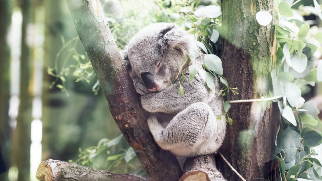 睡眠時間-中風風險