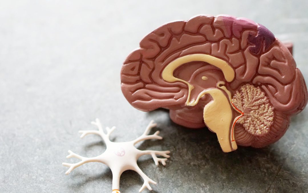 失智並非正常老化！　關於失智症常識你了解多少？