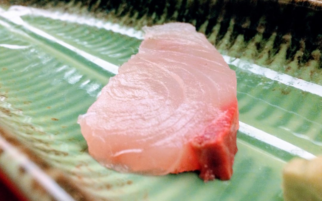 冬天就是要吃白旗魚　比海底雞還海底雞