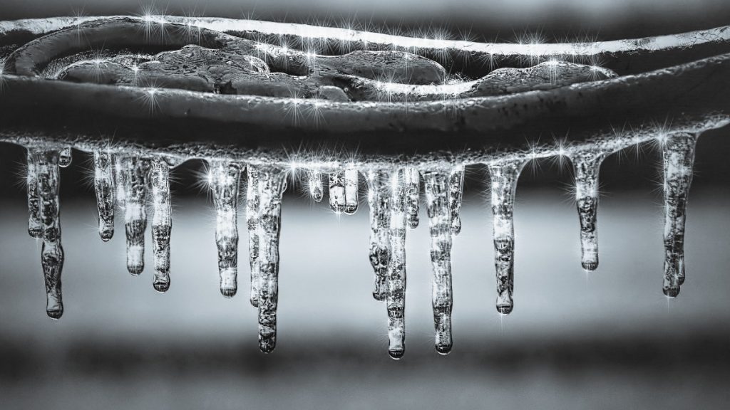 抗發炎飲食-發炎反應-心血管疾病-冷