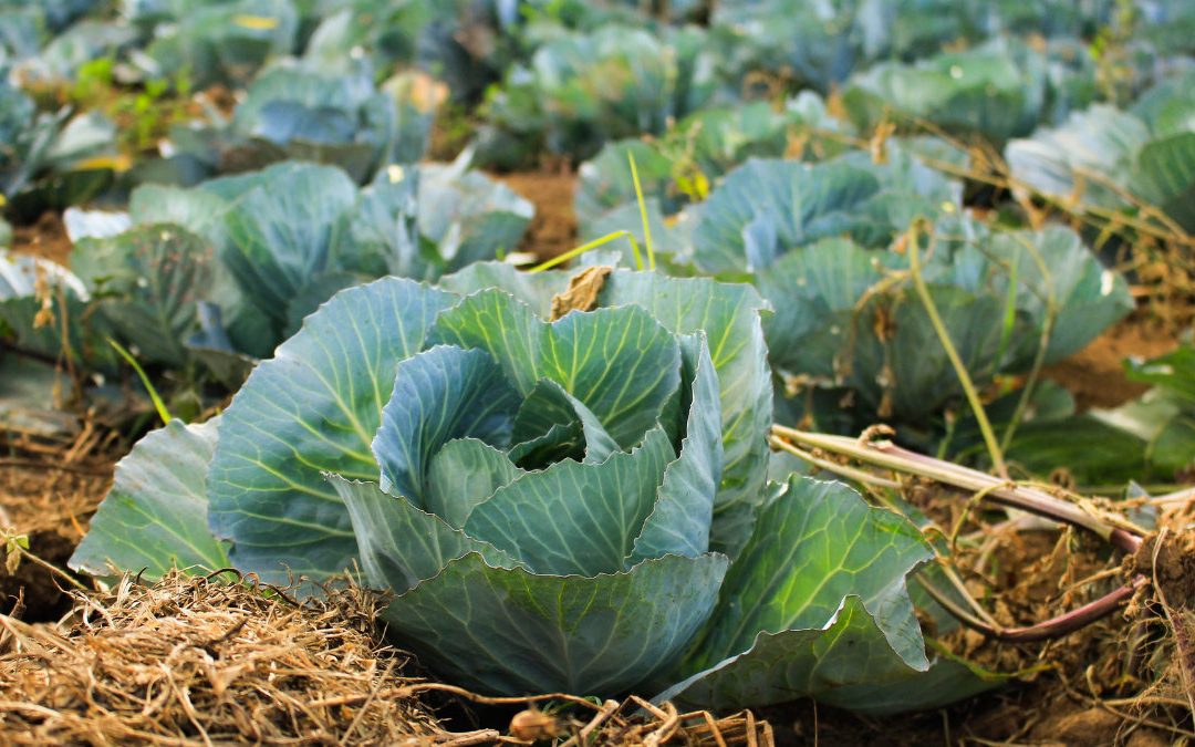 太冷了！　女半夜嚴重抽筋肌肉拉傷