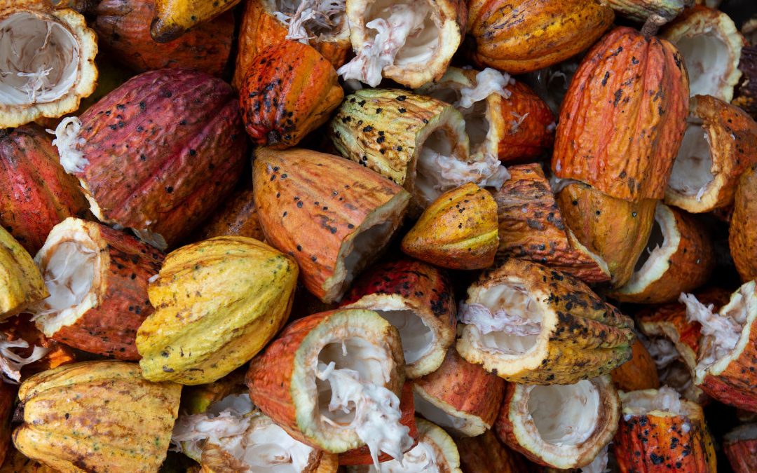 2/14 買巧克力給自己吃也很可以　好吃又健康～