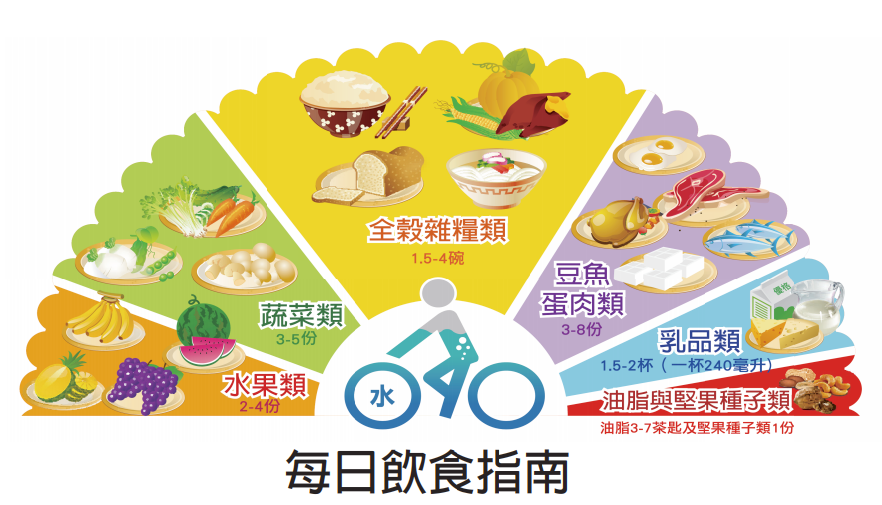 每日飲食指南-元宵節-支鏈澱粉