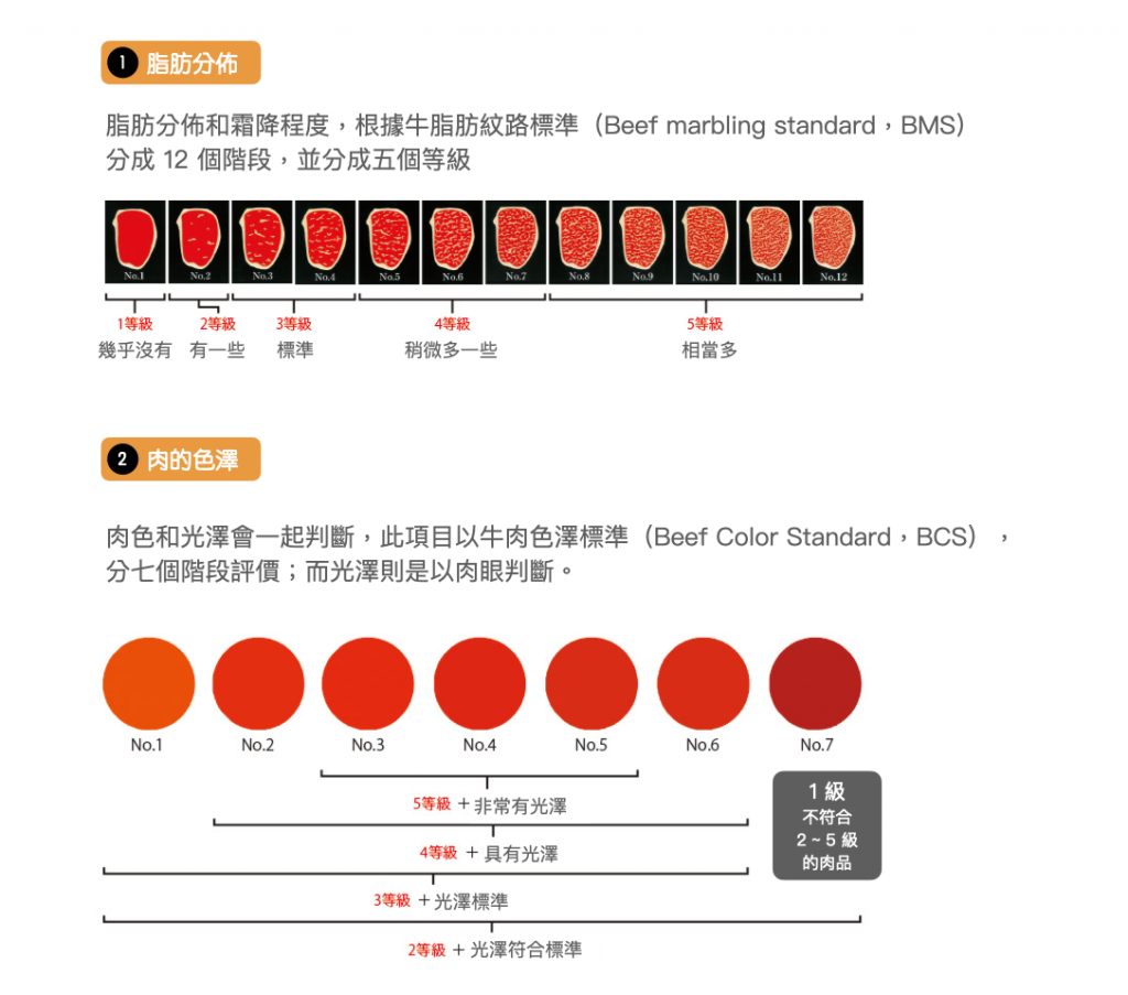 日本和牛-分級規則-A5-定義-肉質1-2