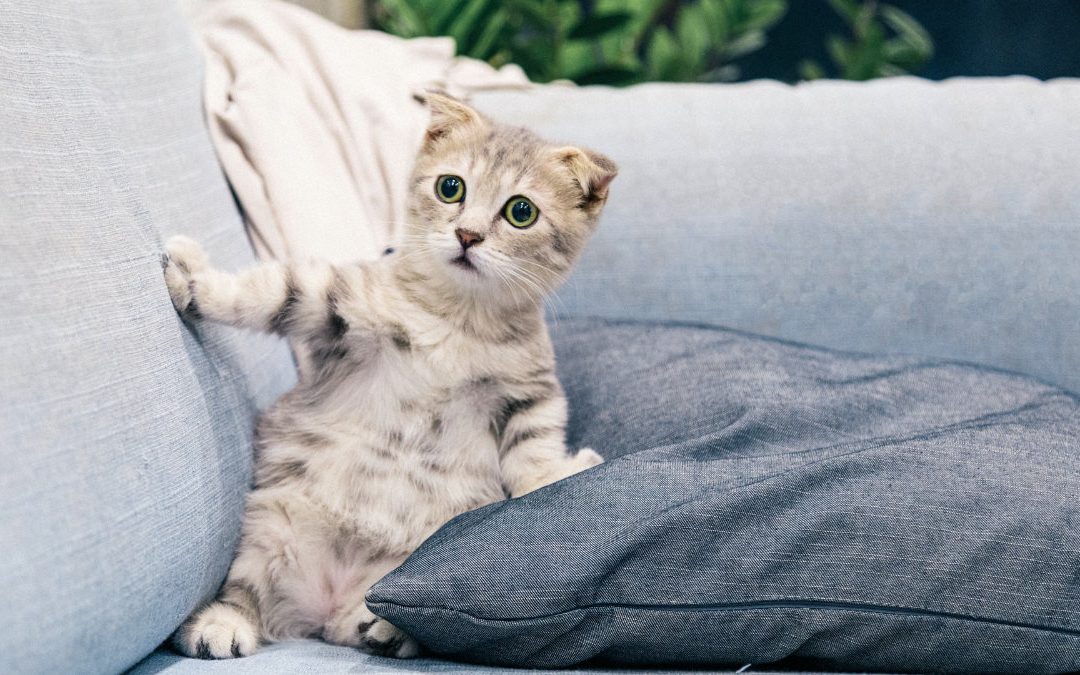 一覺起來脖子動彈不得　這類人最容易落枕