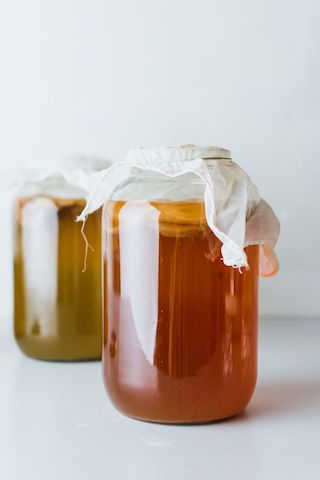 kombucha-康普茶-發酵-罐