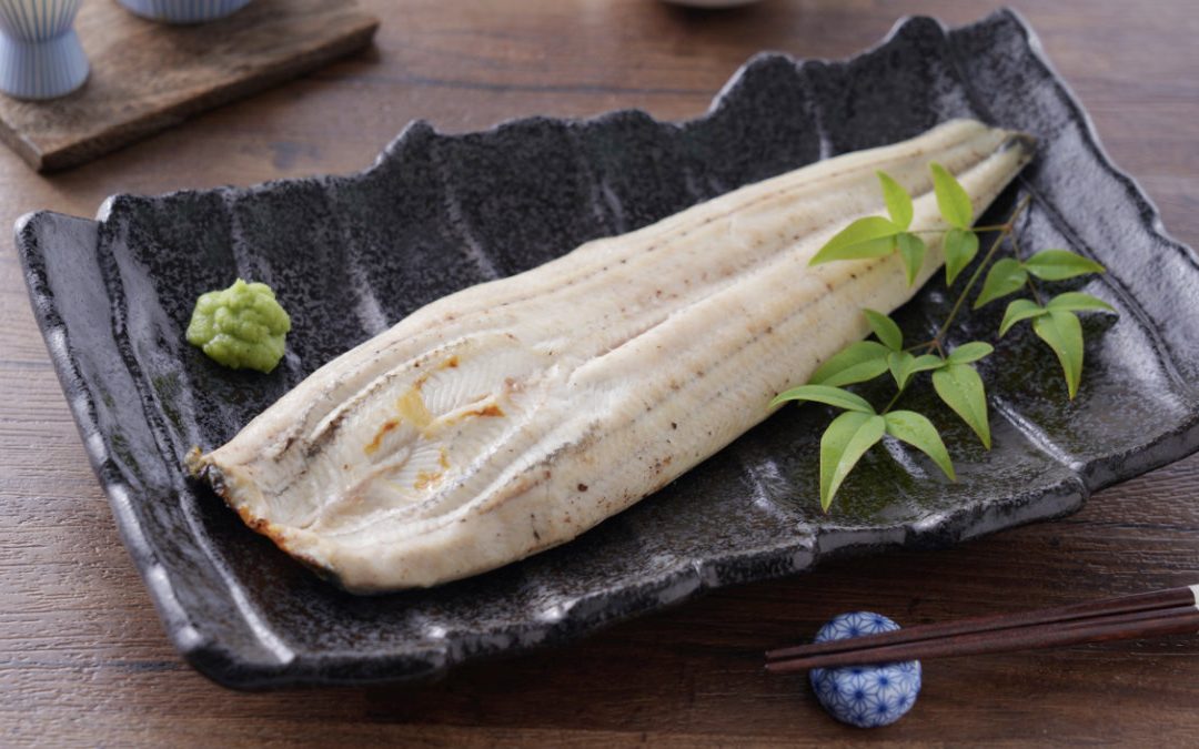 2021 土用丑日換吃白燒鰻魚 細細品嚐鰻魚的原味