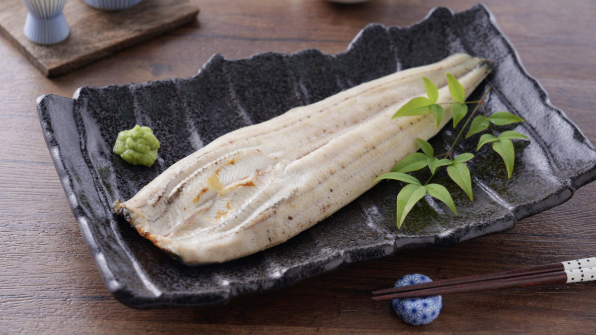 白燒鰻魚-蒲燒鰻