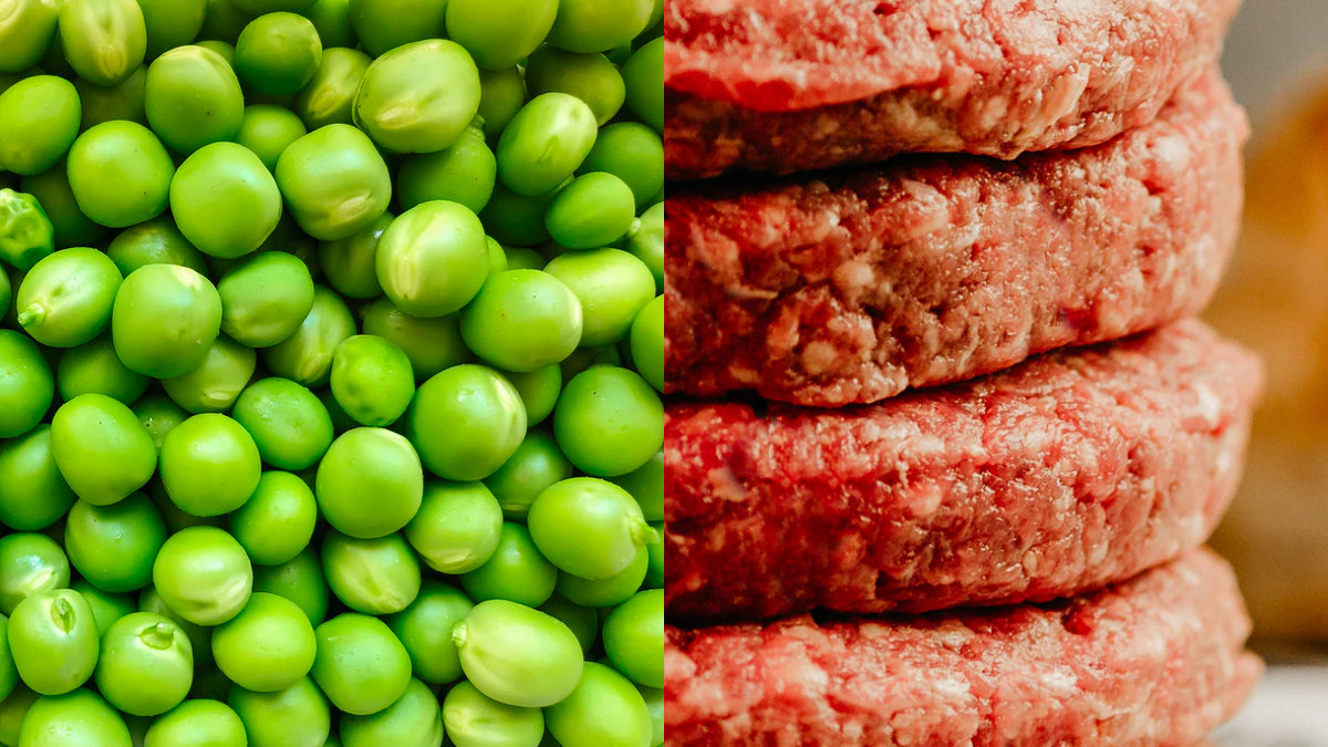 替代肉-植物肉