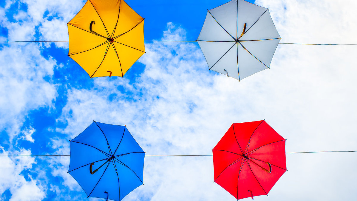 沙門氏菌-食物中毒-肉粽 沙門氏菌-食物中毒-肉粽