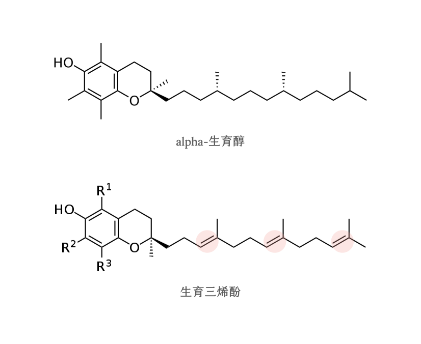 生育醇-生育三烯酚-脂肪肝-兒童肥胖