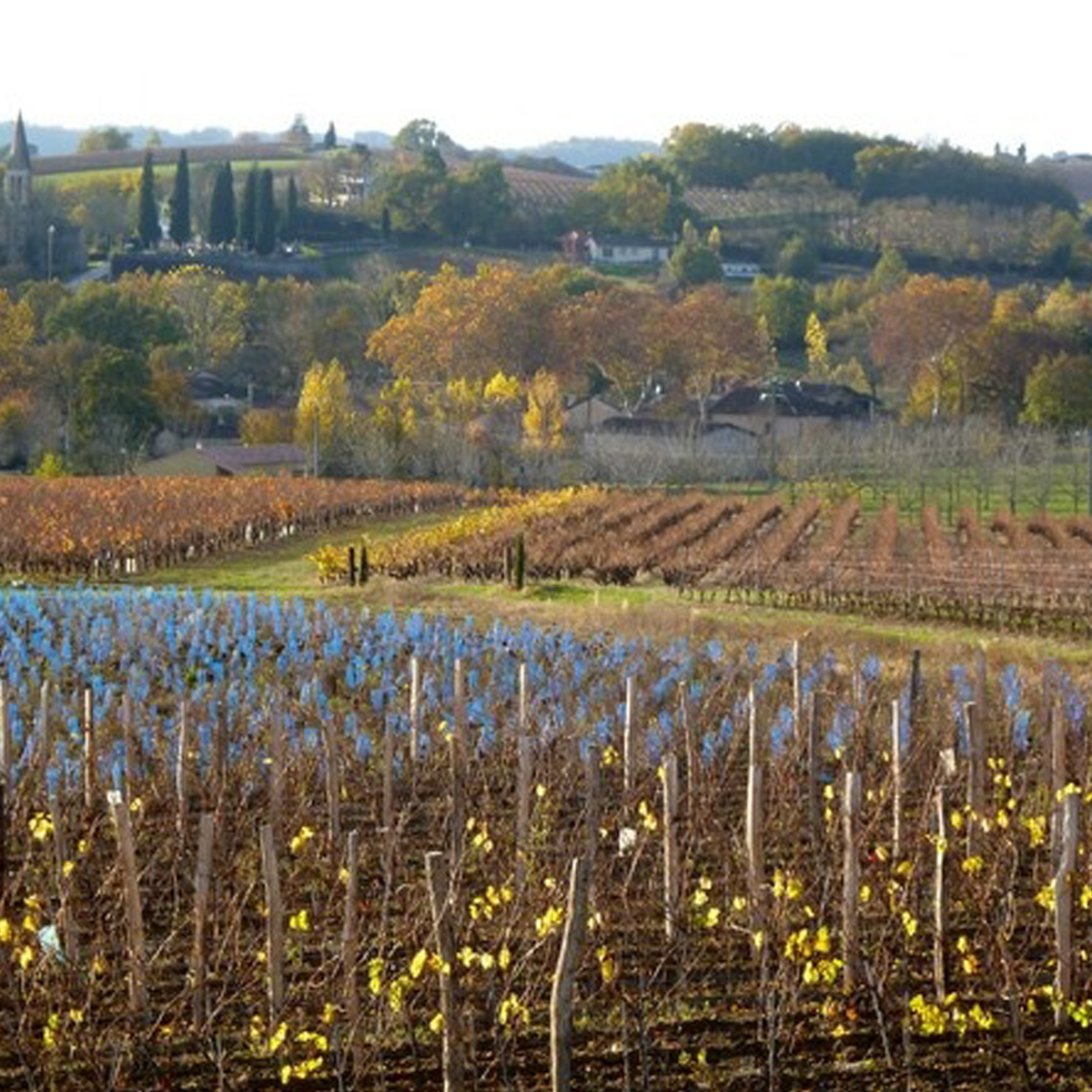 rive-droite