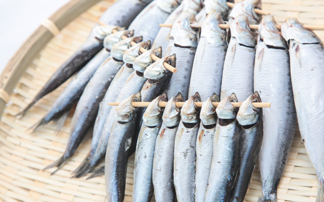 你平常吃的「柳葉魚」　其實是另一種魚？