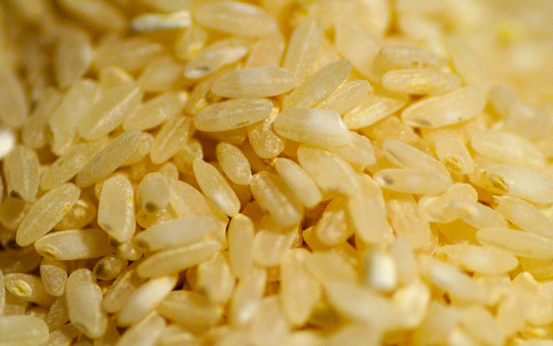 糙米與玄米油特有的 γ-穀維素　有助思緒清晰？