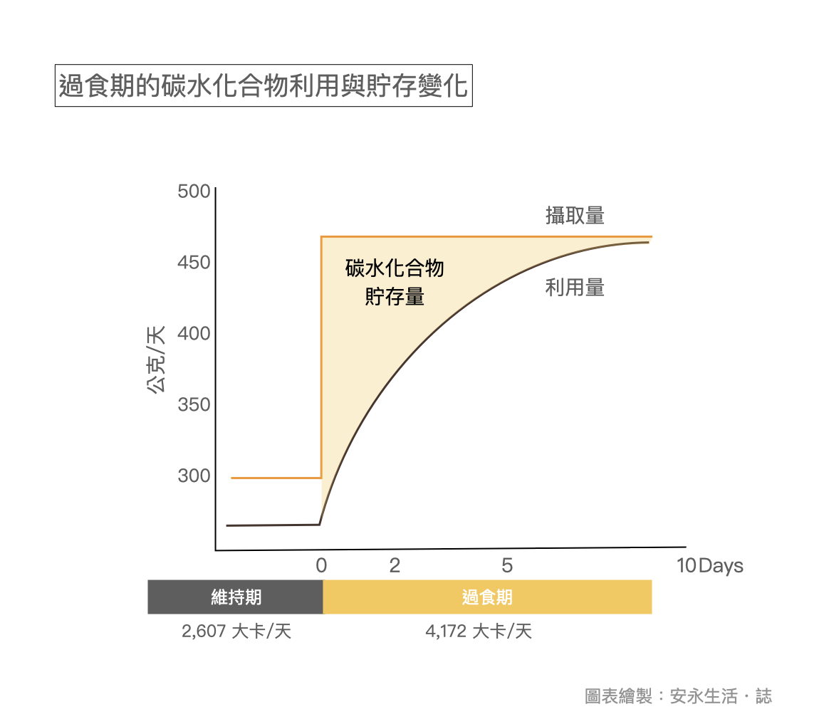 糖吃多-碳水化合物的氧化率提升